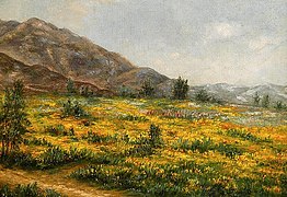 California Wildflowers by Ellen Frances Burpee Farr