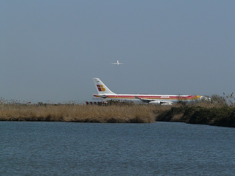 File:Estany del braç de la Vidala P1100466.jpg