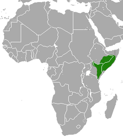Ethiopian Dwarf Mongoose area.png