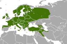 European Pine Marten area.png