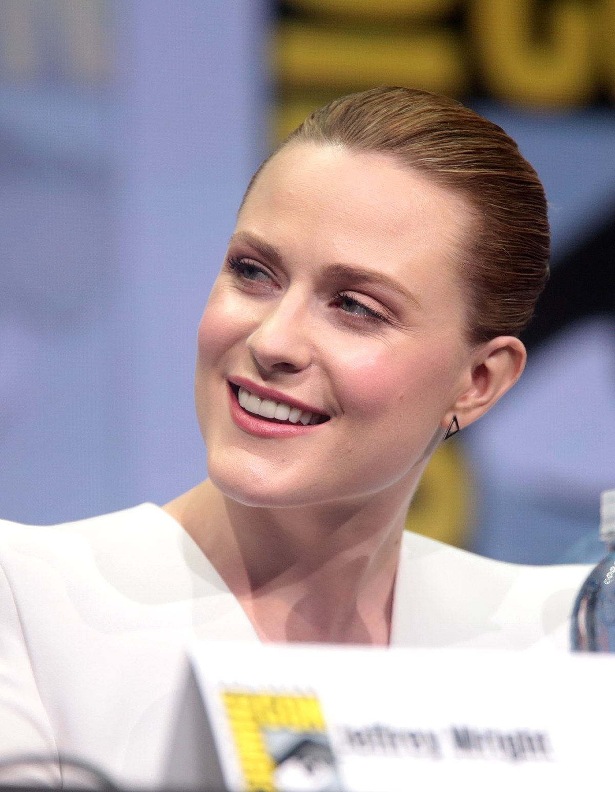 Evan Rachel Wood Wikipedia