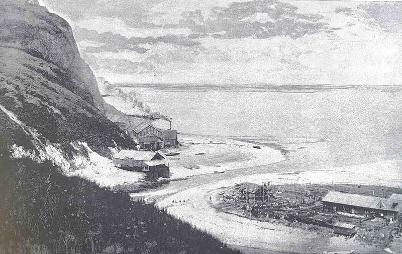 File:FMIB 34207 Karluk River Mouth Cannery of Alaska Improvement Company.jpeg