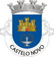 Vlag van Castelo Novo