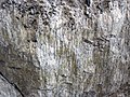 Fault slickenlines (Morrison Formation, Upper Jurassic; Carnegie Quarry, Dinosaur National Monument, Utah, USA) 16 (48862117666).jpg