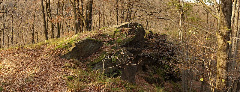 File:Felsen in Sachsen- kol.jpg