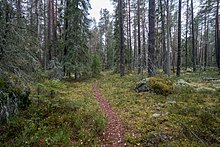 Del av den markerade stigslingan i Fermansbo urskog.