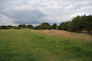 <span class="mw-page-title-main">Hutton Country Park</span>