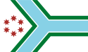 Cook County - Flagge