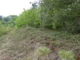 Flixton Quarry