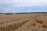 Campos de Fontenay-Saint-Père.JPG