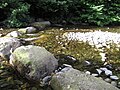 Thumbnail for File:Ford on the Shimna River - geograph.org.uk - 4321850.jpg