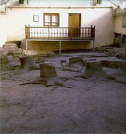 Fossil Tree Stumps at Fossil Grove Glasgow 1977.jpg