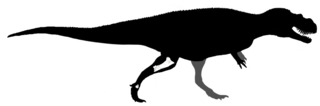 <i>Fosterovenator</i> Extinct genus of dinosaurs