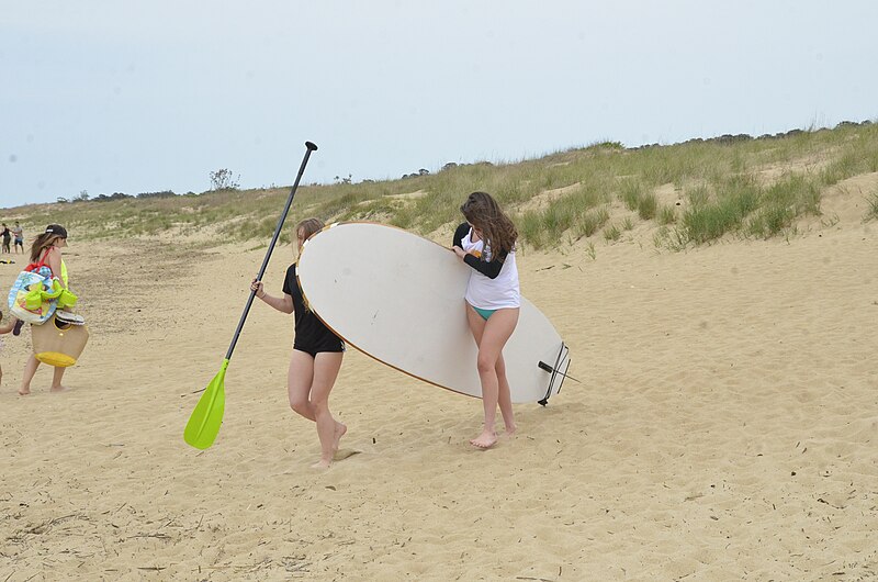 File:Fun at the beach First Landing State Park (41264078704).jpg