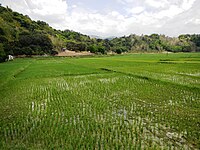 Naguilian rural landscape