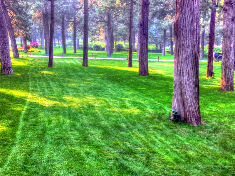 File:Gfp-beijing-beihai-woods-and-grass.jpg