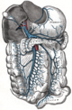 Sistema porta hepático