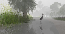 A great blue heron in the virtual environment of Second Life Great Blue Heron (9403036297).png