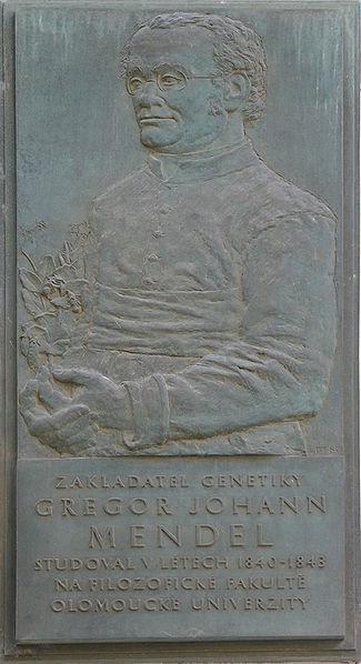 صورة:Gregor-Johann-Mendel-memorial-plaque.jpg