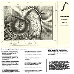 Situationsplan vom Krater des Merapi. Entworfen im November 1836. Darunter eine Abschrift von Junghuhns Erläuterungen in den „Erklärungen der Tafeln des Atlasses …“[157]