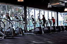 Row of elliptical trainers at a gym (right) Gym Cardio Area Overlooking Greenery.JPG