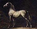 Géricault-cheval-gris-MuséeRouen.jpg