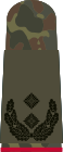 Oberst Lieutenant iG (General Staff Services)