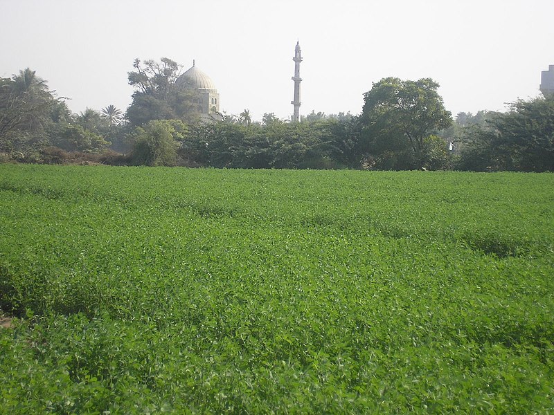 File:Haji murad jaffer village gadap town - panoramio.jpg