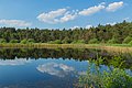 Halen nature reserve Deipe Briaeke 01.jpg