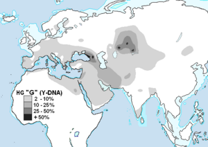 Haplogrupo G (ADN-Y).PNG