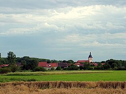Haßleben in Thüringen im Sommer 2009 nach dem Abschluß der Kirchturmsanierung, aufgenommen vom "Haßlebener Rieth" aus