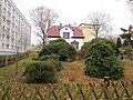 Residential house in open development with garden