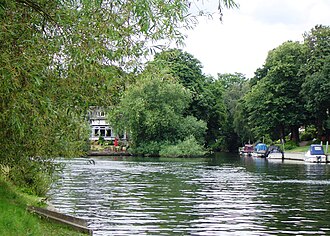 Point of Hollyhock Island from downstream (centre right) HollyhockIsland02.JPG