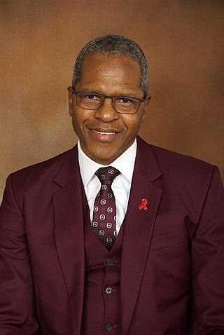 <span class="mw-page-title-main">Velenkosini Hlabisa</span> President of the Inkatha Freedom Party (IFP)