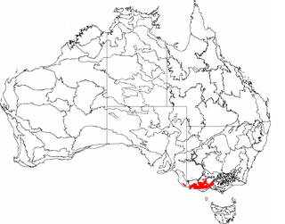 Southern Volcanic Plain Region in Australia