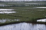 überflutete Felder in der Provinz Phu Yen