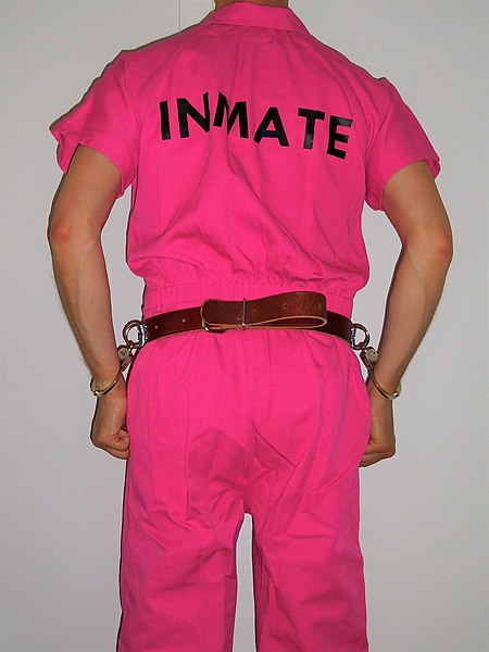 File:Inmate transport belt 1.jpg