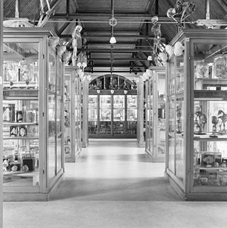 <span class="mw-page-title-main">Zoological Museum Amsterdam</span> Natural history museum in Amsterdam, Netherlands