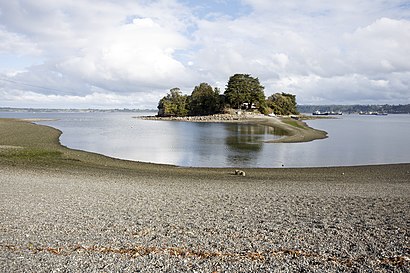 Cómo llegar a Isla Chinquio en transporte público - Sobre el lugar