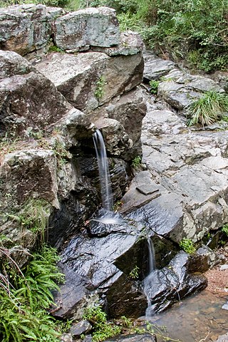 <span class="mw-page-title-main">J C Slaughter Falls</span> Waterfall in Brisbane, Queensland