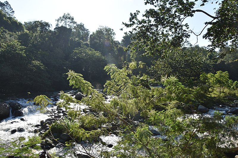 File:Jarabacoa - Río Jimenoa 0147.JPG