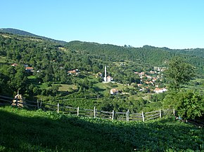 Jasenik iz Kozića - panoramio.jpg