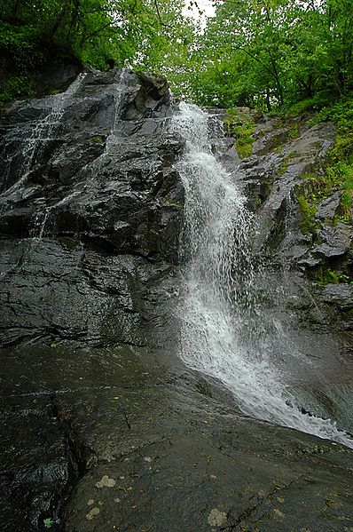 File:Jones run falls 20050520 152218 1.jpg