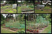 [1] unterschiedliche Bepflanzungen eines Gartens