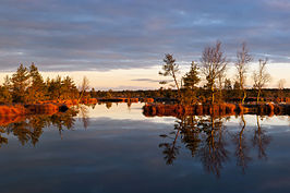 Natuurpark Rabivere