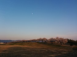 Pokok-pokok sakura di Kawakita