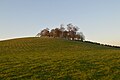 Kelston Round Hill