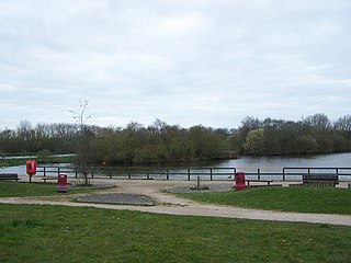 <span class="mw-page-title-main">Kincraig Lake Ecological Reserve</span> Wildlife reserve in Lancashire, England
