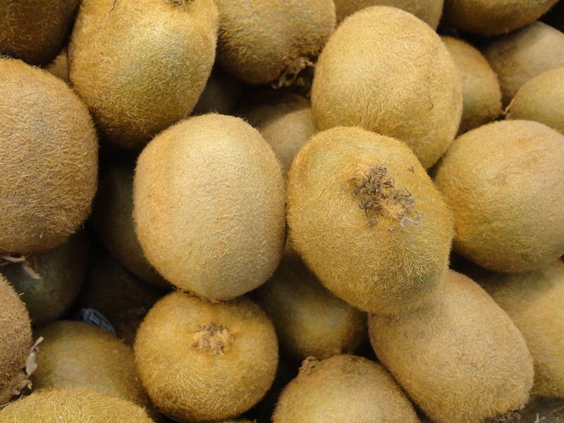 File:Kiwi Actinidia deliciosa.JPG