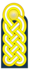 Konteradmiral der Kriegsmarine.png